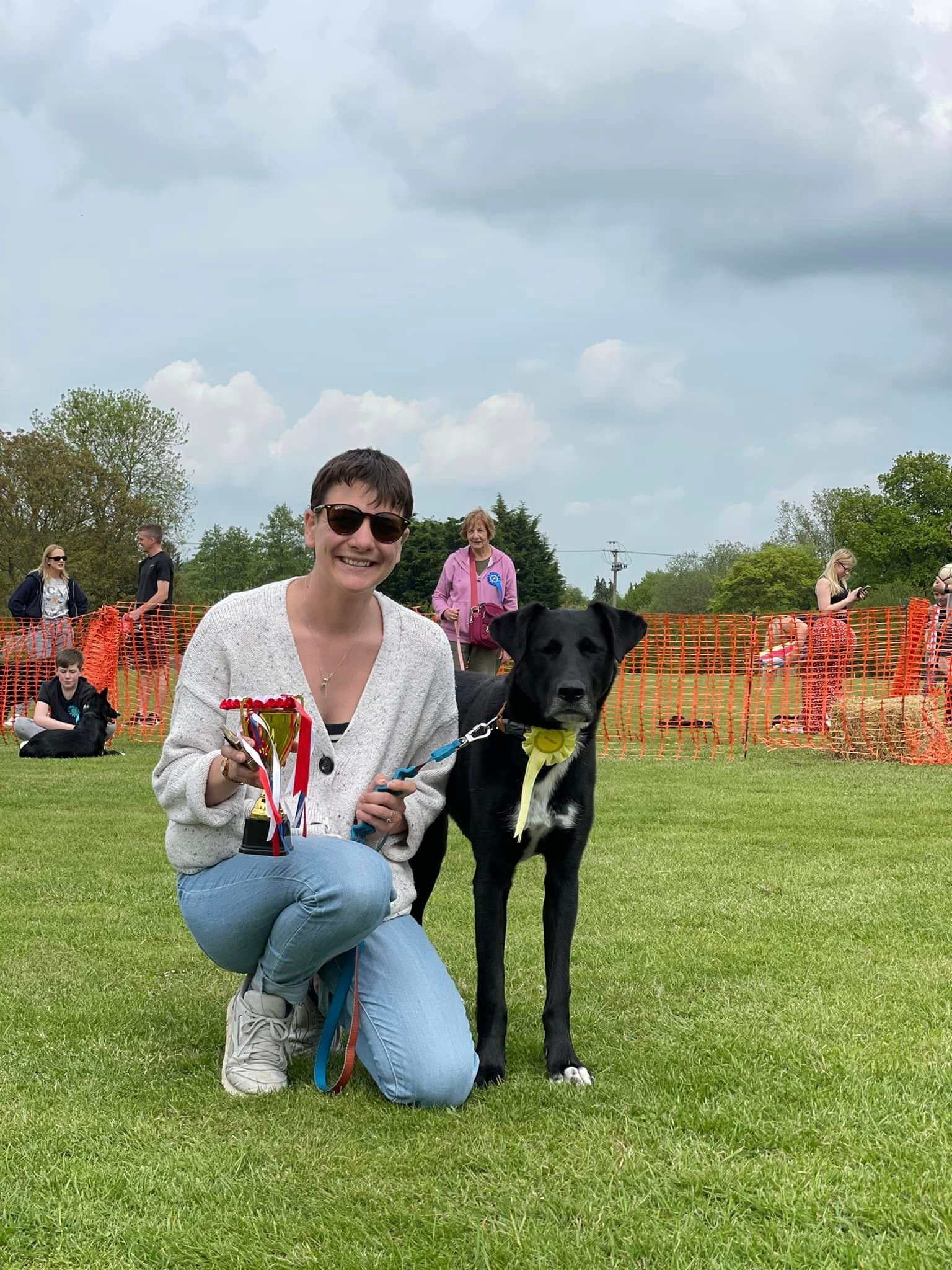 Dogs Rising Stars Brilliant Sunshine for the Fun Dog Show